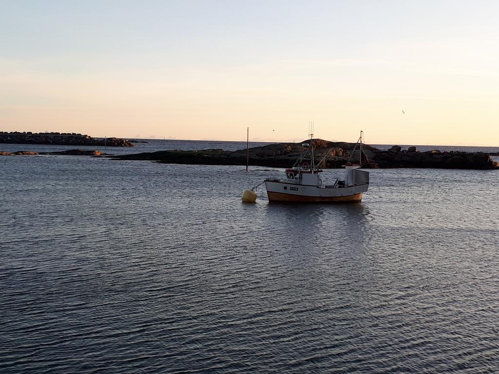 Apartmán Sjohaug Rorbu Moskenes Exteriér fotografie