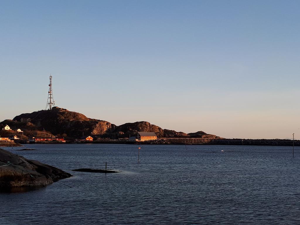 Apartmán Sjohaug Rorbu Moskenes Exteriér fotografie