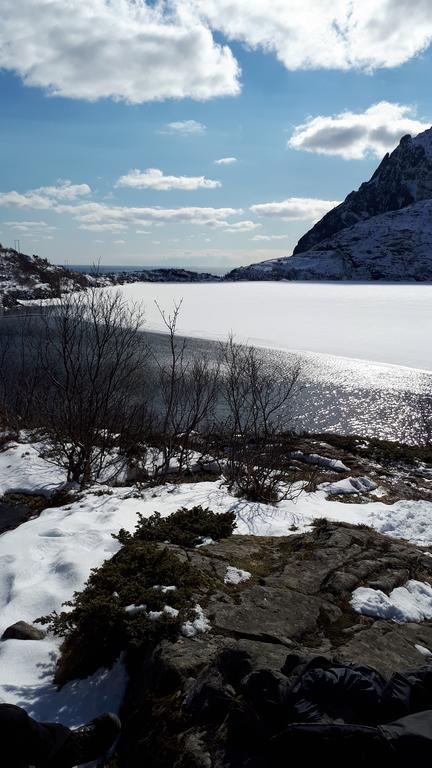 Apartmán Sjohaug Rorbu Moskenes Exteriér fotografie