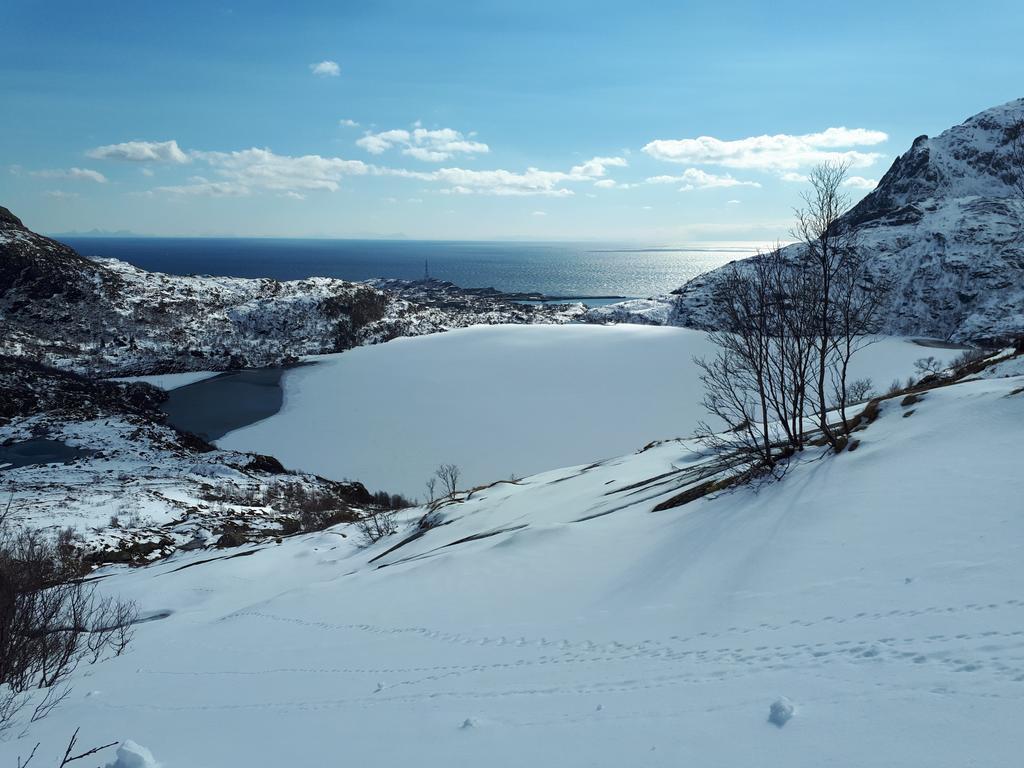 Apartmán Sjohaug Rorbu Moskenes Exteriér fotografie