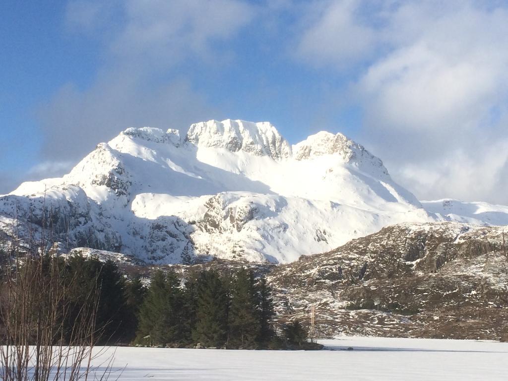 Apartmán Sjohaug Rorbu Moskenes Exteriér fotografie